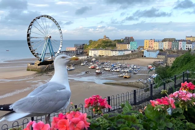 Councillor aims fire at those criticising ‘Big Wheel’ idea for Tenby