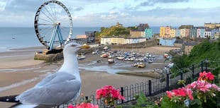 Councillor aims fire at those criticising ‘Big Wheel’ idea for Tenby