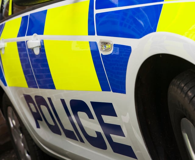 Van driver banned