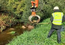 Cleddau River benefits from two river habitat restoration projects