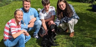 Pembrokeshire pooch Ariel's inspiring journey has a happy ending