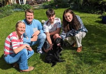 Pembrokeshire pooch Ariel's inspiring journey has a happy ending