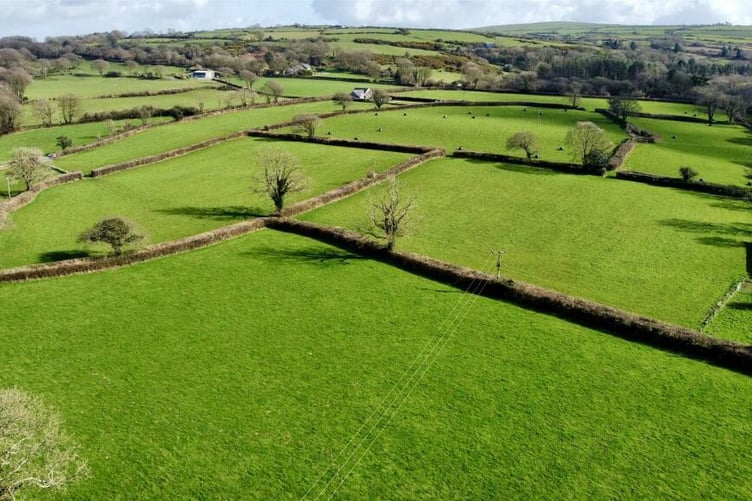 glandwr farm