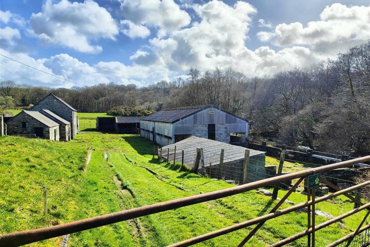 glandwr farm
