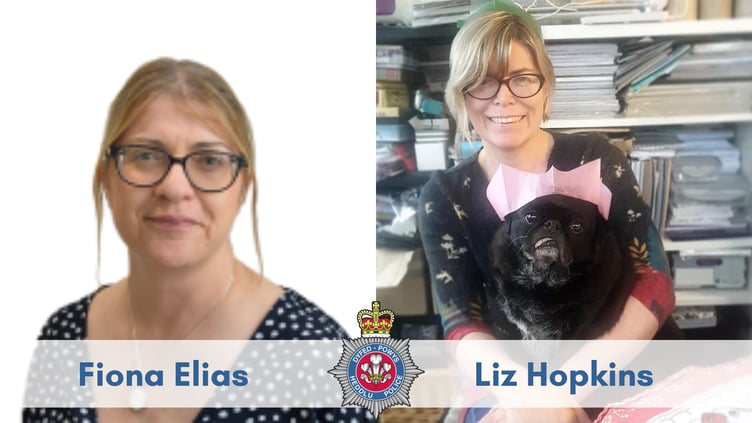 Carmarthenshire school stabbing incident