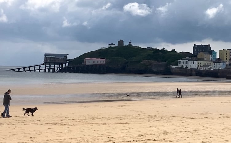 dog on beach Tenby