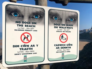 198 Fixed Penalty Notices issued to dog owners breaching beach bans