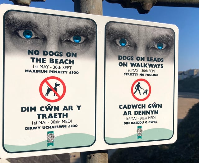 198 Fixed Penalty Notices issued to dog owners breaching beach bans