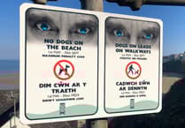 Pembrokeshire dog beach bans: trial to focus on warnings over fines