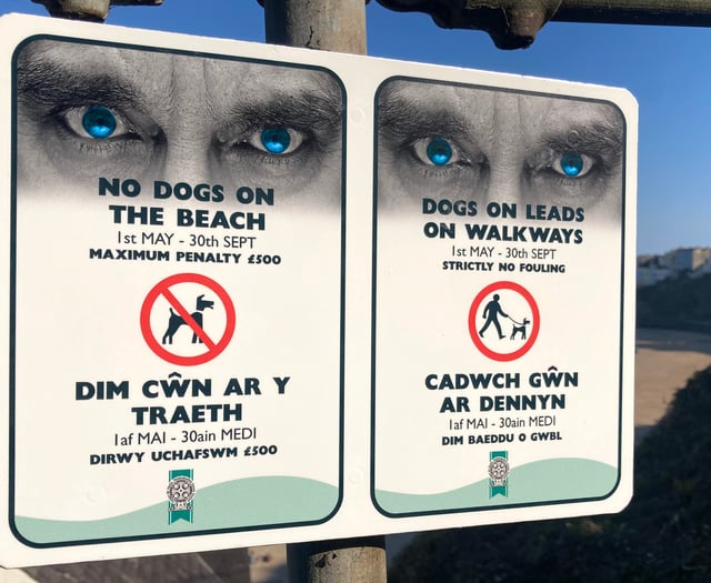 PCC to carry out 'pooch patrols' for breaches of beach byelaws