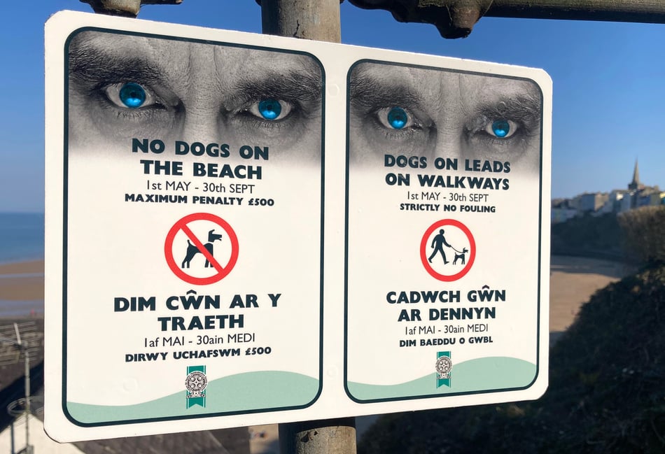 PCC to carry out 'pooch patrols' for breaches of beach byelaws