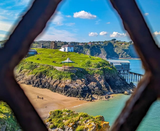 Picture This! Tenby Observer photography club round-up