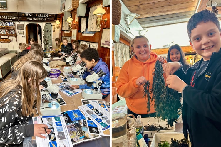 Pembroke Dock Community School examining plankton samples  and investigating seaweed onboard the Bessie Ellen
