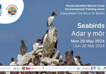 Seabirds training event and big beach clean