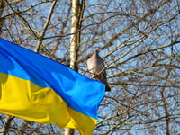 County Council reaches out to provide homes for Ukraine families