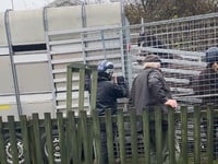 RSPCA thanked for taking care of abandoned Kilgetty horses
