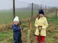 70th anniversary tree planting project comes to an end