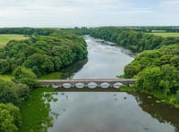 Blue-green algae warning that can prove 'fatal' to pets
