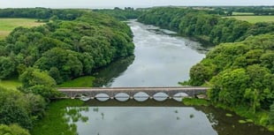 Blue-green algae warning that can prove 'fatal' to pets