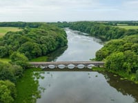 Blue-green algae warning that can prove 'fatal' to pets
