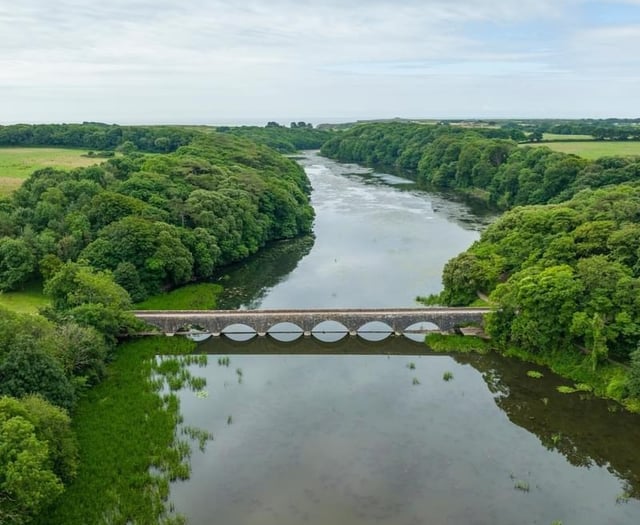 Blue-green algae warning that can prove 'fatal' to pets