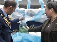 Glass artist prepares for woodland exhibition