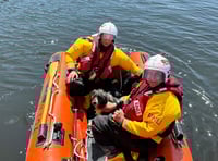 Tenby RNLI rescue dog that fell 250ft off coastal cliffs