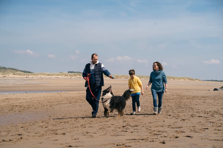 Wales launches tourism ad for dogs - beach pic