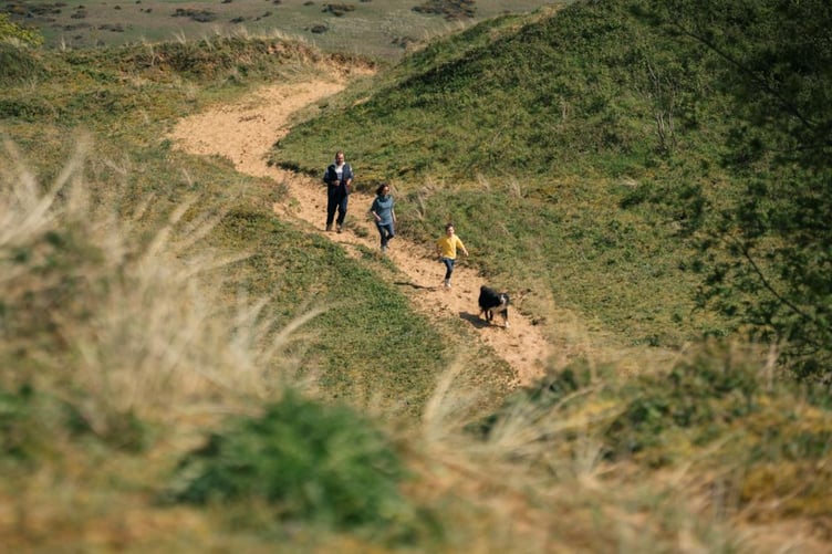 Wales launches tourism ad for dogs - dunes