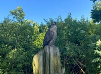 Tenby Civic Society's latest on Allen's View