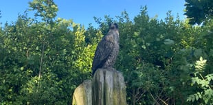 Tenby Civic Society's latest on Allen's View