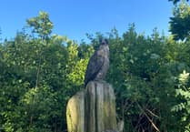 Tenby Civic Society's latest on Allen's View