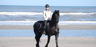 Horse riders warned over seaside villages' summer beach ban byelaws 