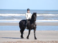 Horse riders warned over seaside villages' summer beach ban byelaws 