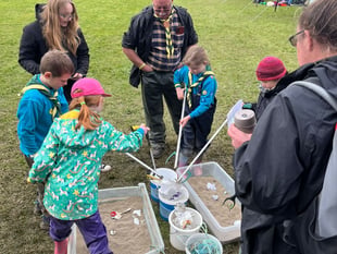 Picton Castle event