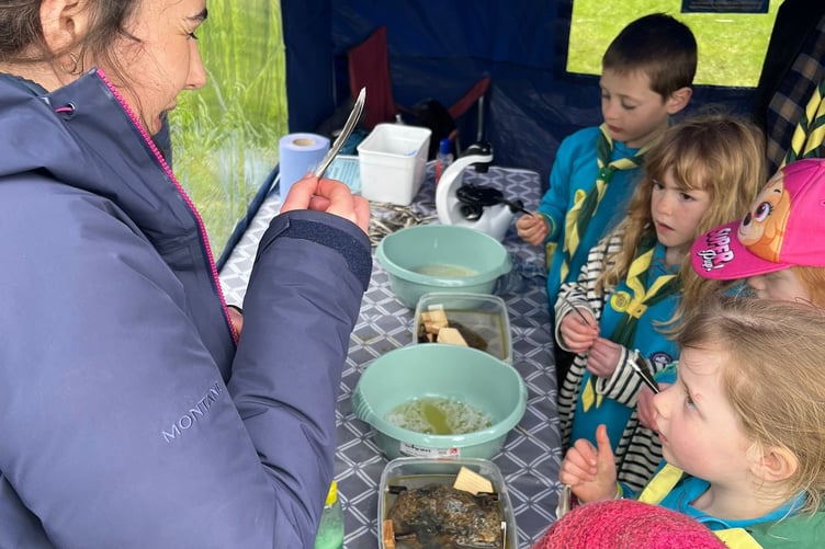 Sea Trust event for Scouts at Picton Castle