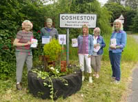  Cosheston residents prepare for Open Gardens