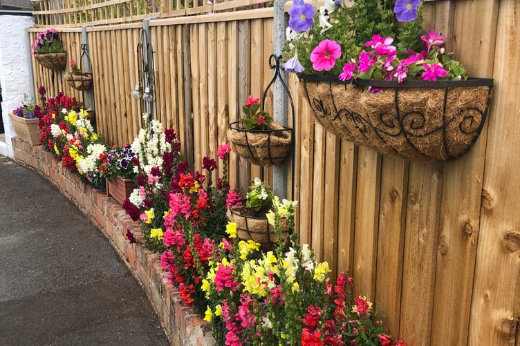 Tenby in Bloom