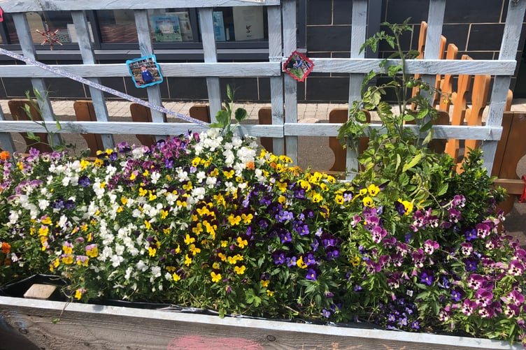 Tenby in Bloom