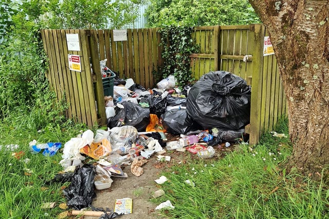 Fly-tipping continues to cause ‘carnage’ for Tenby
