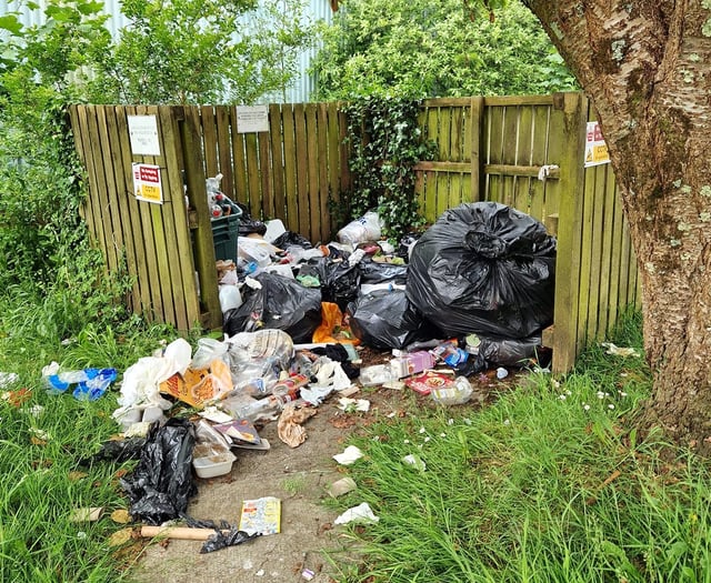 Fly-tipping continues to cause ‘carnage’ for Tenby