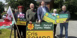 Plaid Cymru unveils pledges for rural Wales