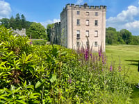 St Issell’s WI plans summer events