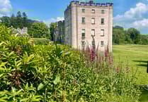 Visitor shelter approved for former zoo site at Picton Castle