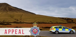 Stolen vehicle involved in collision