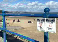 Dog owners fined for bylaw breaches on beaches