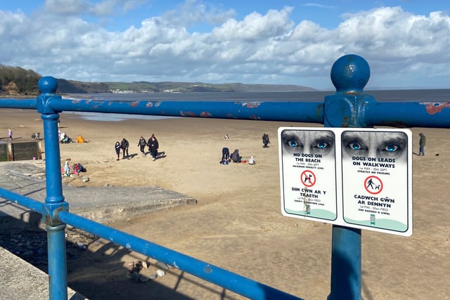 Dog owners fined for bylaw breaches on beaches
