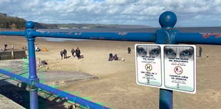 Dog owners fined for bylaw breaches on beaches