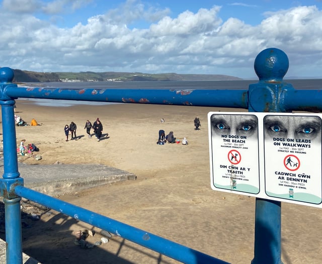 Dog owners fined for bylaw breaches on beaches