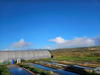 Sowing the seeds of change in our oceans